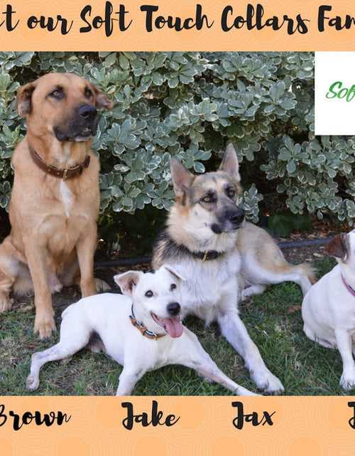 Load image into Gallery viewer, Padded Leather Dog Collar, Large Brown, Real Genuine Leather, 24" Long X 1.5 Wide, Fits Neck Size 18" to 21" Inches
