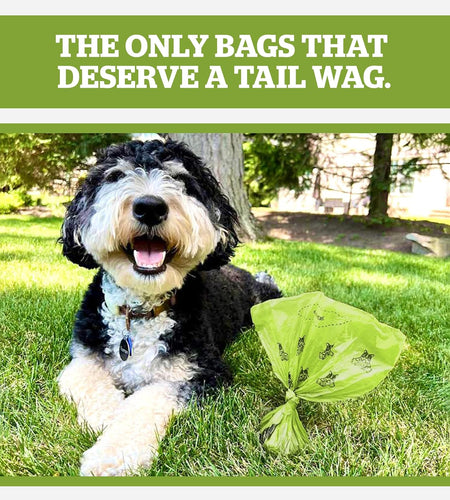 Pogi’S Poop Bags - 30 Unscented Rolls (450 Dog Poop Bags) - Leak-Proof, Earth-Friendly Poop Bags for Dogs