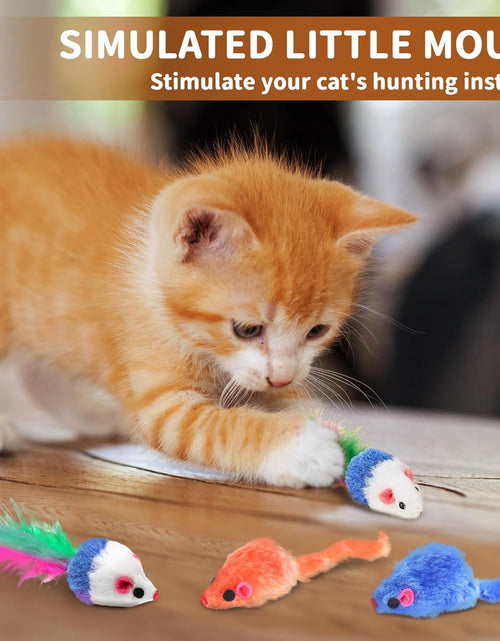 Load image into Gallery viewer, Cat Toys for Indoor Cats Interactive, 25 Assorted Cat Stuff Toys Pack Including Crinkle Tunnel Ball Wand Teaser Feather Mouse Mice Spring Assortment Kit for Cats Kittens Rabbits Puppies
